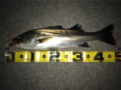 四日市港周辺運河