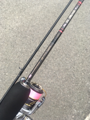 久々の釣りです。果たして釣果は？