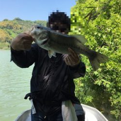 釣りをするにはいい季節になりましたね