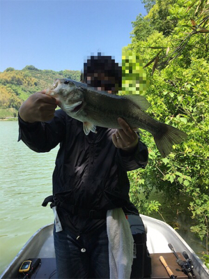 釣りをするにはいい季節になりましたね