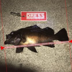 2018年餌釣り初釣り