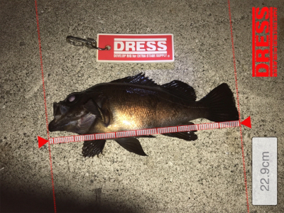 2018年餌釣り初釣り