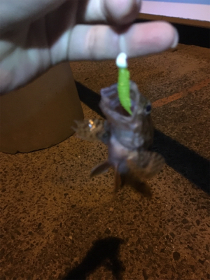 ベイビー&ベイビー