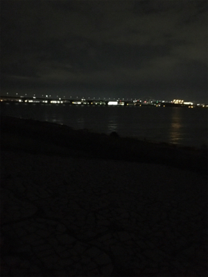 淀川ブリームゲーム 18年初キビレ