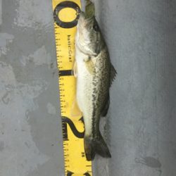 GW前半 中一日中釣行