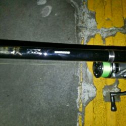 春タチに会いたくて