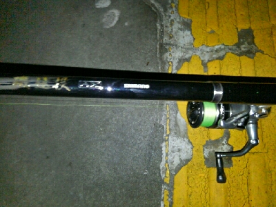 春タチに会いたくて