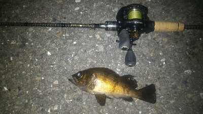 妻とベイトフィネスメバルプラッギング