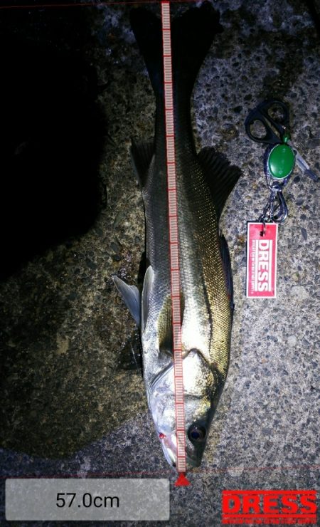 好調メバルにゲストのフッコ！