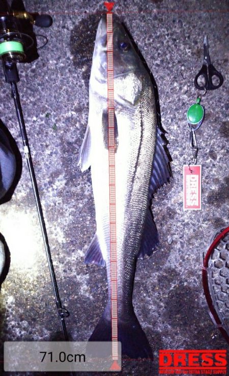 いつものメバリング