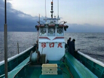 イサキ、アジ時々青物