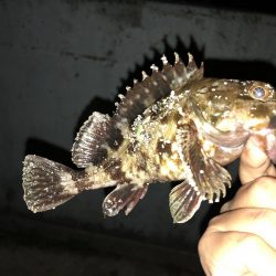 初投稿·天保山でのボトム攻め