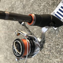 三連敗逃れた！メバリング！