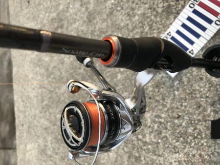 三連敗逃れた！メバリング！