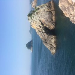 福村磯 中黒で乗っ込みチヌ