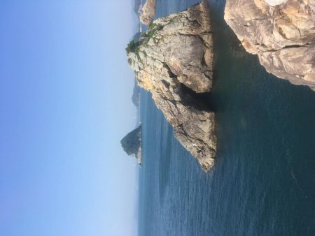 福村磯 中黒で乗っ込みチヌ