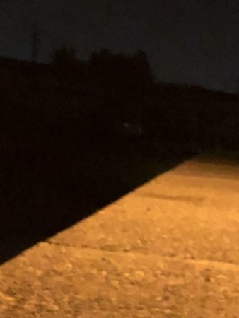 メバリングジャンキー