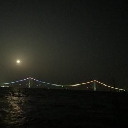 やっぱりジグ単