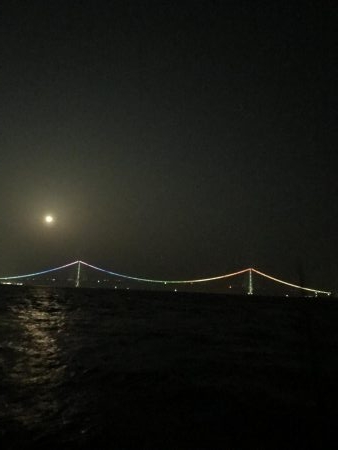 やっぱりジグ単