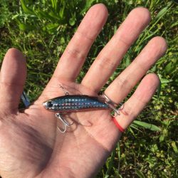 神崎川 デイシーバス