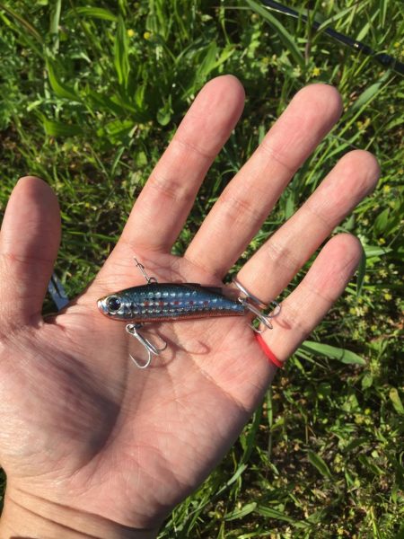 神崎川 デイシーバス