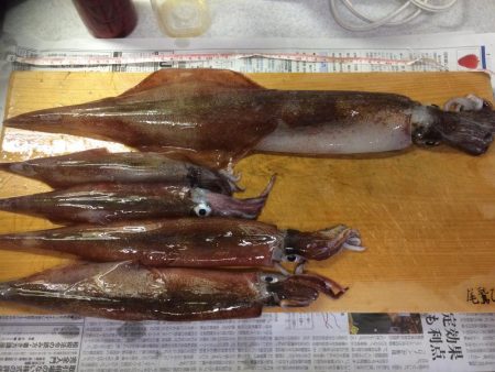 複数釣果&最高サイズ