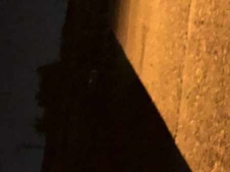 毎度メバリング