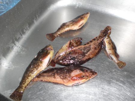 昨日に引き続き