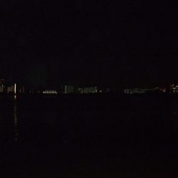 2018 キビレ調査NO、2