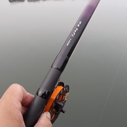 チヌ落とし込み/43cm以下計4枚GET