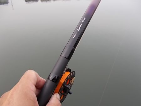 チヌ落とし込み/43cm以下計4枚GET