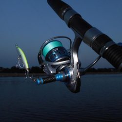 苦戦のバチ？パターン…(堺周辺シーバス釣行)