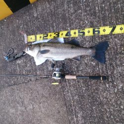 結局、岸壁にきました。