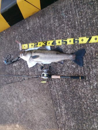 結局、岸壁にきました。