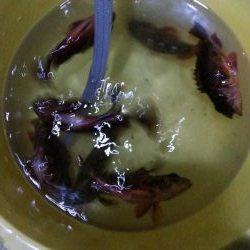 【釣人家】ロックフィッシュショート便