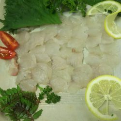 シーバス調査～門司少年自然の家前(地磯）