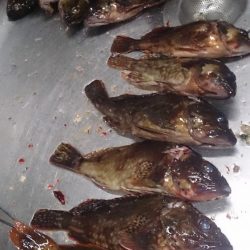 もう少しサイズほしいな