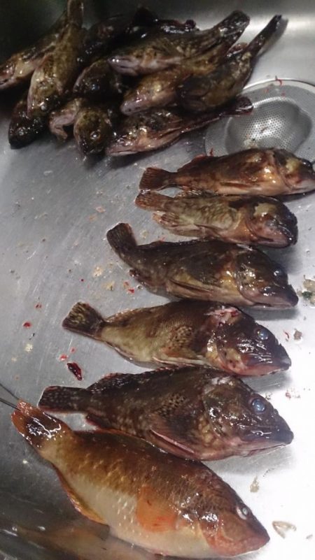 もう少しサイズほしいな