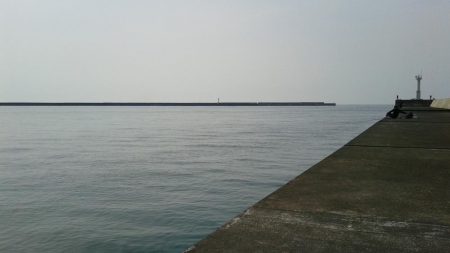 桜が散ってしまった。