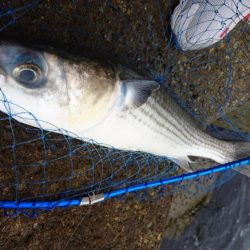 ゴールデンウィーク釣行1日目