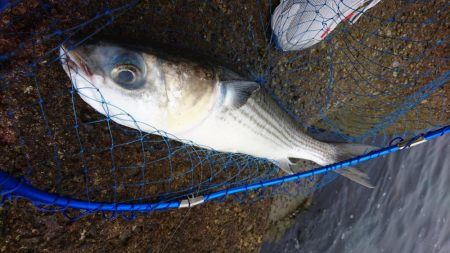 ゴールデンウィーク釣行1日目
