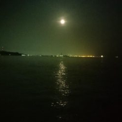 シーバスっぽい◯◯◯