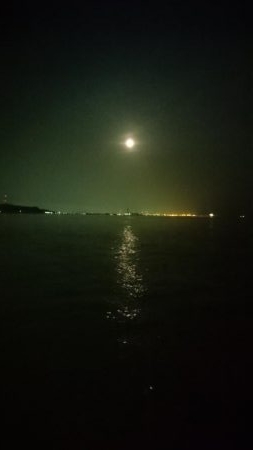 シーバスっぽい◯◯◯