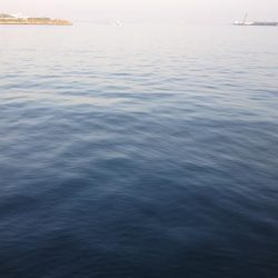 今年4回目の釣行でシーバス