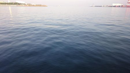 今年4回目の釣行でシーバス