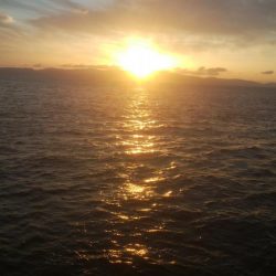 エギング及びキス釣りに