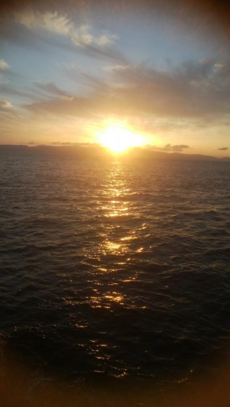 エギング及びキス釣りに