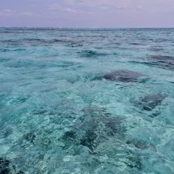 オフショア初挑戦GTはお留守