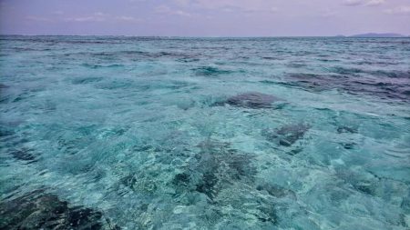 オフショア初挑戦GTはお留守