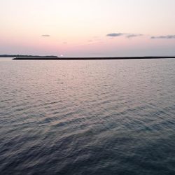 イケカツオです。